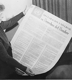 The Universal Declaration of Human Rights in Spanish
