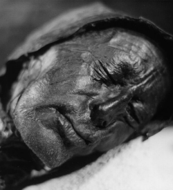 Face of the Tollund Man