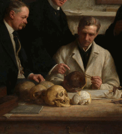 Scientists looking at skulls