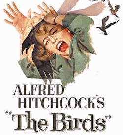 Alfred Hitchcock's The Birds film poster