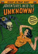 Cover For Adventures Into the Unknown