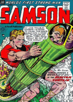 Cover For Samson