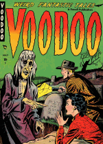 Cover For Voodoo