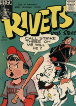 Cover For Rivets