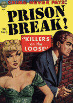 Cover For Prison Break!