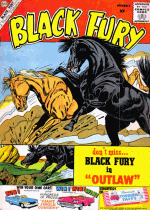 Cover For Black Fury