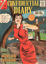 Cover For Confidential Diary
