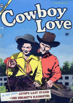 Cover For Cowboy Love