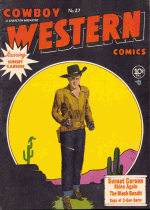 Cover For Cowboy Western