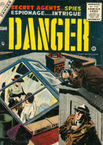 Cover For Danger