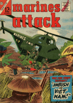 Cover For Marines Attack
