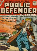 Cover For Public Defender in Action