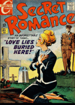 Cover For Secret Romance
