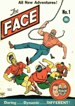 Cover For The Face