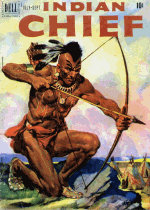 Cover For Indian Chief