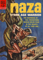 Cover For Naza
