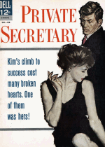 Cover For Private Secretary