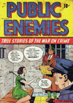Cover For Public Enemies