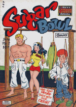 Cover For Sugar Bowl