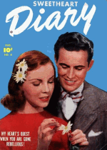 Cover For Sweetheart Diary