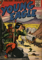 Cover For Young Eagle