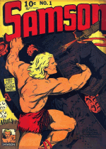 Cover For Samson