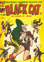 Cover For Black Cat