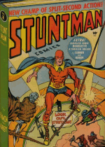 Cover For Stuntman