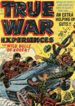 Cover For True War Experiences
