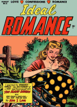 Cover For Ideal Romance
