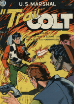 Cover For Trail Colt
