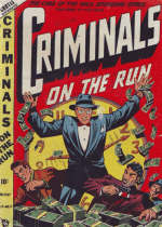 Cover For Criminals on the Run