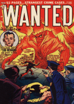 Cover For Wanted
