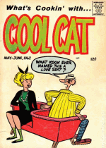 Cover For Cool Cat