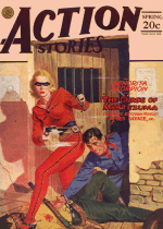 Cover For Action Stories