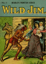 Cover For Beadle's Frontier Series