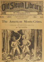 Cover For Old Sleuth Library