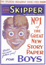 Cover For The Skipper