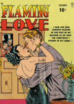 Cover For Flaming Love