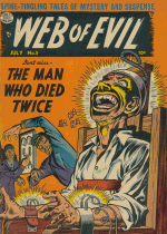 Cover For Web of Evil