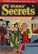 Cover For Diary Secrets