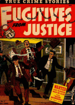 Cover For Fugitives from Justice