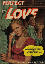 Cover For Perfect Love