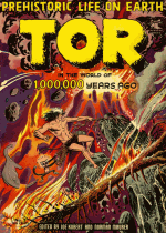 Cover For Tor