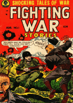 Cover For Fighting War Stories