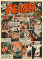 Cover For Flash