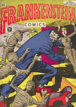Cover For Frankenstein