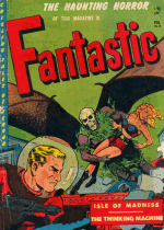 Cover For Fantastic
