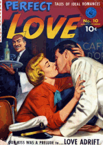 Cover For Perfect Love