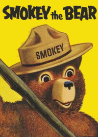 Large Thumbnail For Smokey the Bear